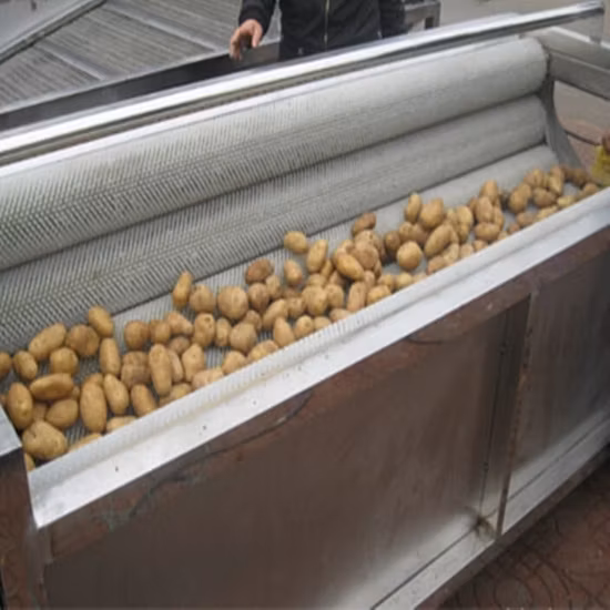 La mejor máquina peladora de patatas Industrial, peladora y peladora